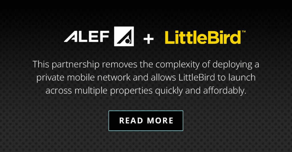 LittleBird Alef Partnership announcement